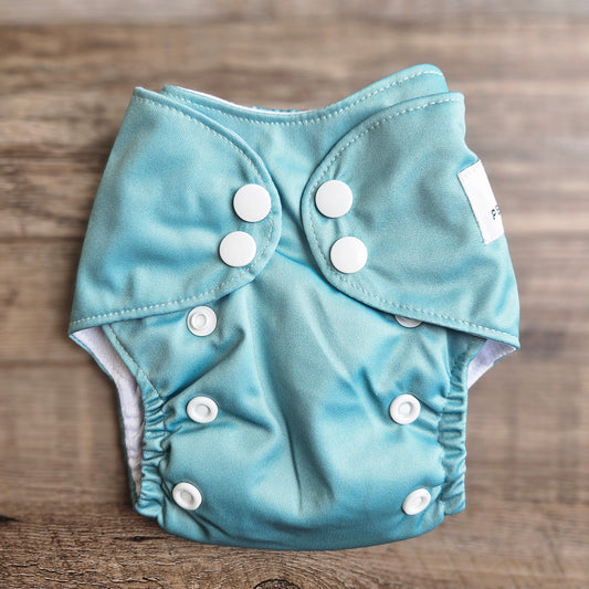 Petite Garden Mint Pocket Diaper